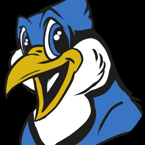 AR31 BLUEJAY 01 RQC Thumbnail