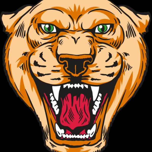 AR13 COUGAR 01 RQC Thumbnail