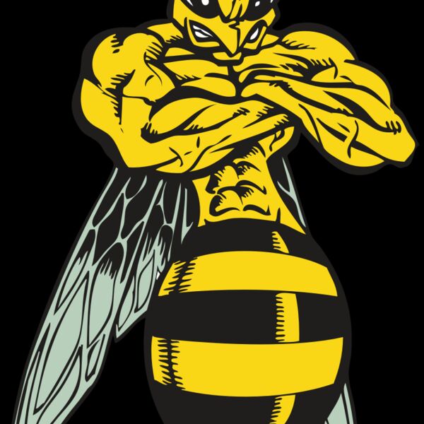 BAW BEE 16 RC Thumbnail