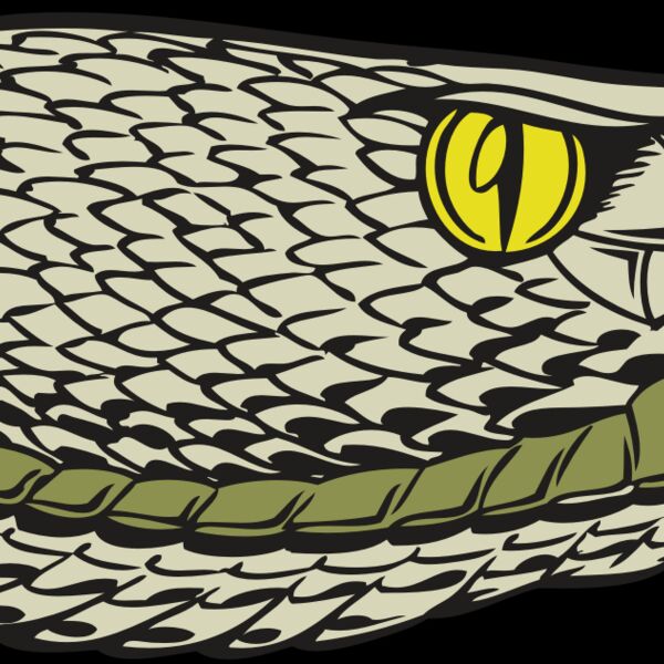 BAW SNAKE 03 RC Thumbnail