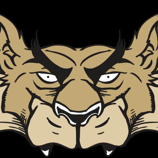 AR5 Wolf 28 RQC Thumbnail