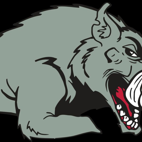 AR RAZORBACK 14 RC Thumbnail