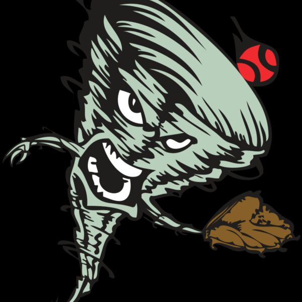 BAW STORM 09 RC Thumbnail