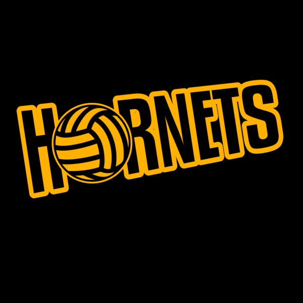 Volleyball 60 Thumbnail